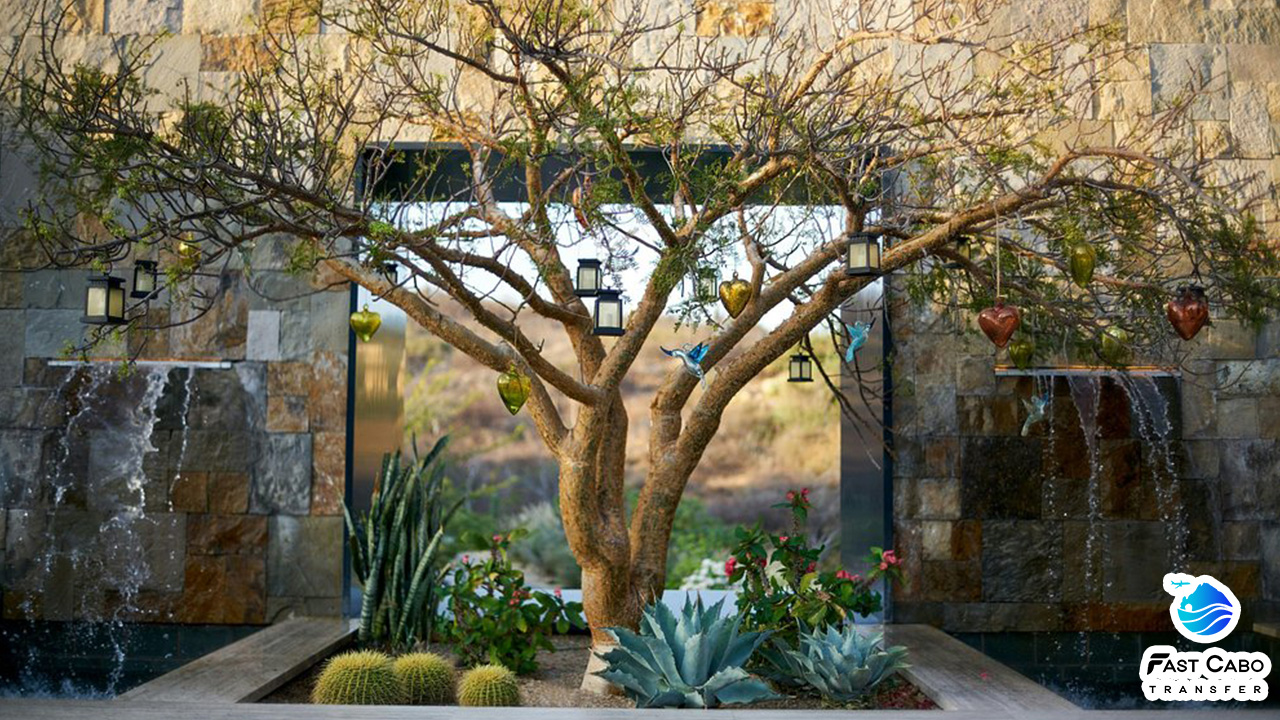 Transportation to Zadun Ritz-Carlton